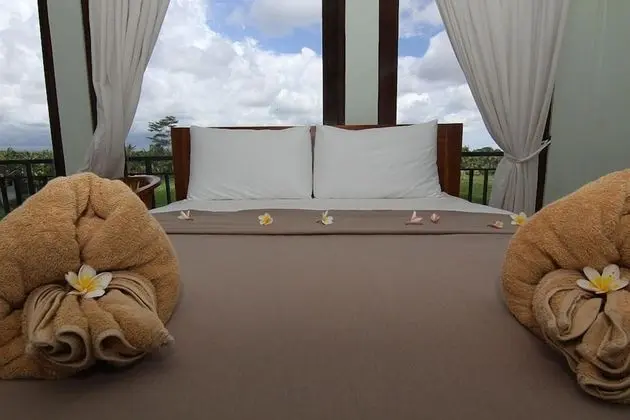 Deluxe Oda, 1 Yatak Odası, Dağ Manzaralı