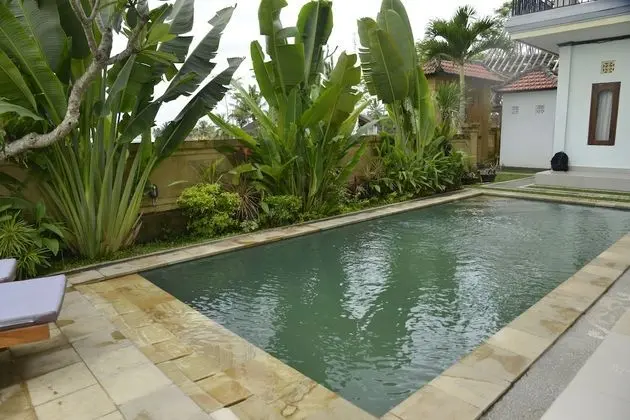 Standard Oda, 1 Yatak Odası, Engellilere Uygun, Havuz Manzaralı