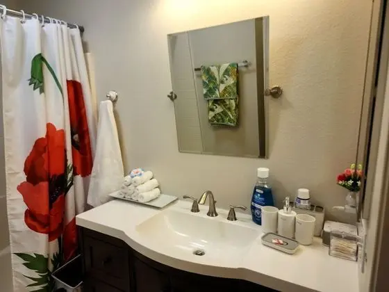 Ev