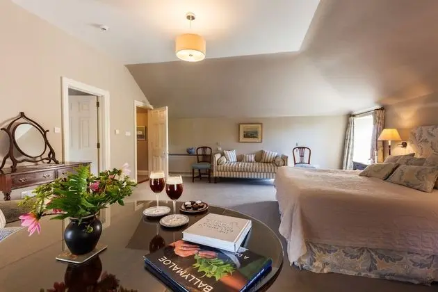 Superior Tek Büyük veya İki Ayrı Yataklı Oda