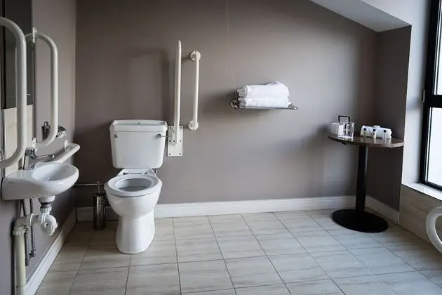 Tek Büyük Yataklı Oda (Accessible Room)