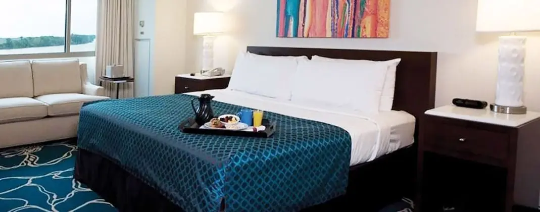 Standard Oda, 1 En Büyük (King) Boy Yatak, Sigara İçilmez