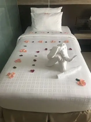Superior Tek Büyük veya İki Ayrı Yataklı Oda, Penceresiz