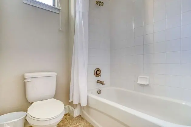 Ev (172 Balmoral)