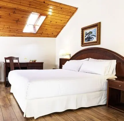 Standard Tek Büyük Yataklı Oda, 1 Yatak Odası