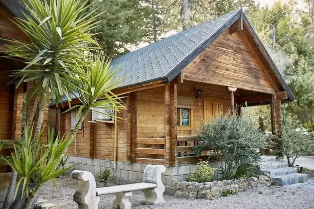 Basic Kulübe, 1 Yatak Odası