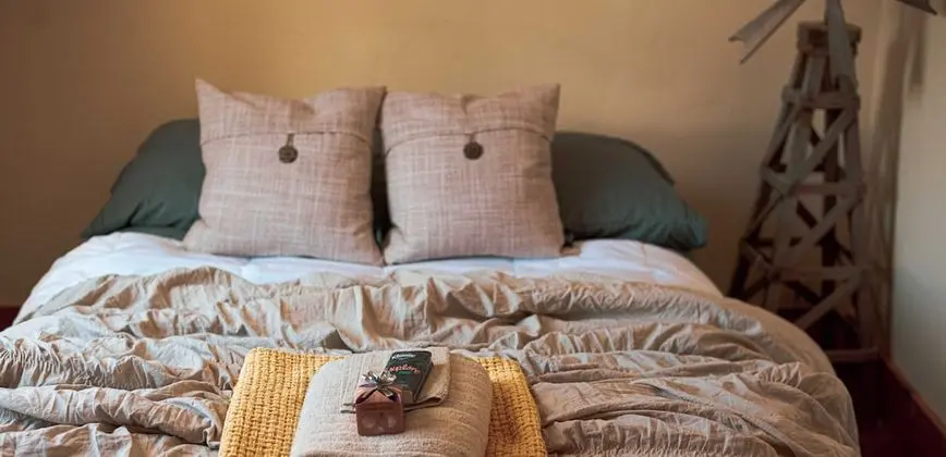 Basic Double or Twin Room 1