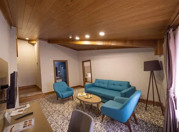 https://images.etstur.com/imgproxy/resize/2560x1440/files/images/hotelImages/etsrooms/519928/Balsoy_Mountain_Hotel_20251205170835_9.jpg