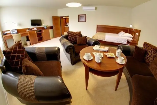 Family Stüdyo Süit, 1 Yatak Odası, Küçük Mutfak