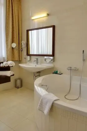 Standard Tek Büyük Yataklı Oda, 1 En Büyük (King) Boy Yatak