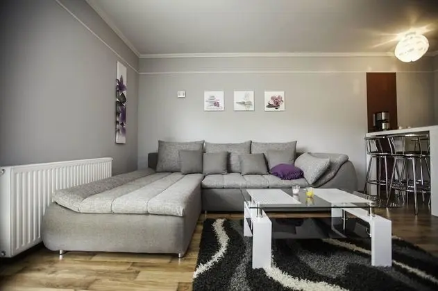 Deluxe Apart Daire, 1 Büyük (Queen) Boy Yatak ve Çekyat