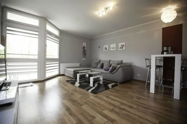 Deluxe Apart Daire, 1 Büyük (Queen) Boy Yatak ve Çekyat