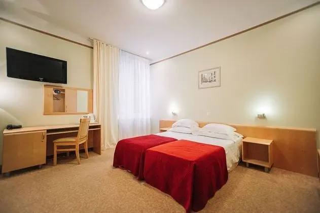 Superior Tek Büyük veya İki Ayrı Yataklı Oda, Sauna