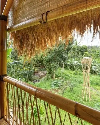 Panoramic Tek Büyük Yataklı Oda