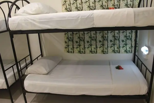 Ortak Ranzalı Oda, Sadece kadınlar için (6 Bed)