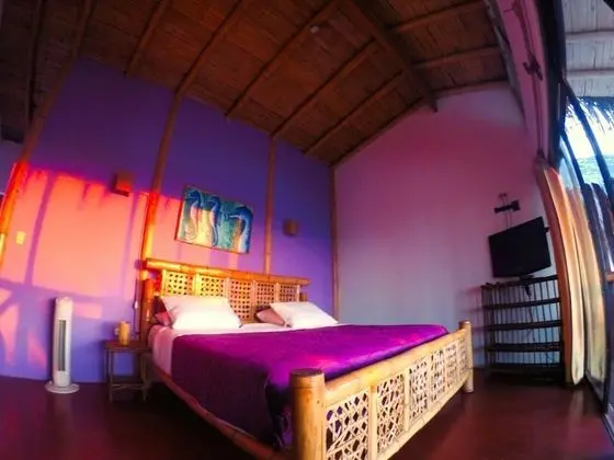 Tek Büyük veya İki Ayrı Yataklı Oda, Plaj Manzaralı