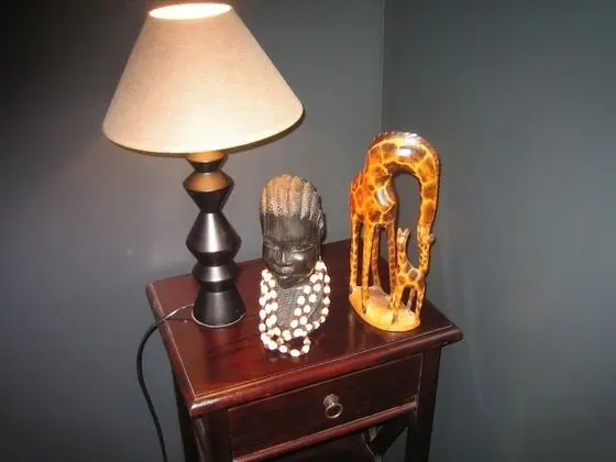 Tek Büyük Yataklı Oda (Africaine - 1)