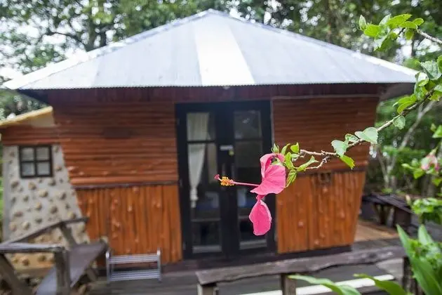Double Bungalow with Fan and Balcony