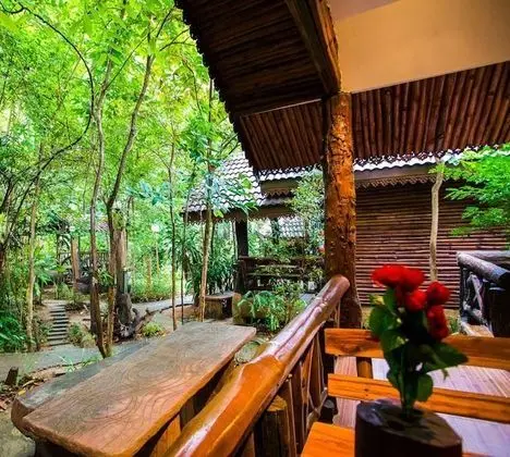 Deluxe Kır Evi