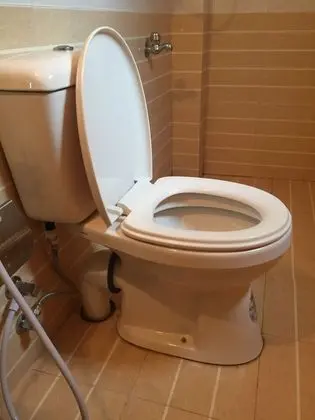 Luxury Tek Büyük Yataklı Oda, 1 Yatak Odası, Bahçe Manzaralı