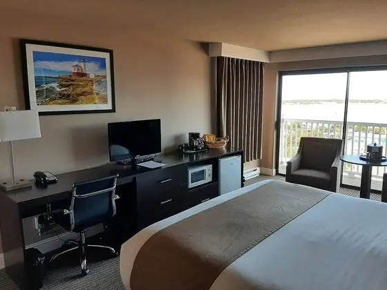 Standard Oda, 1 En Büyük (King) Boy Yatak, Koy Manzaralı (East King - Non-Pet)