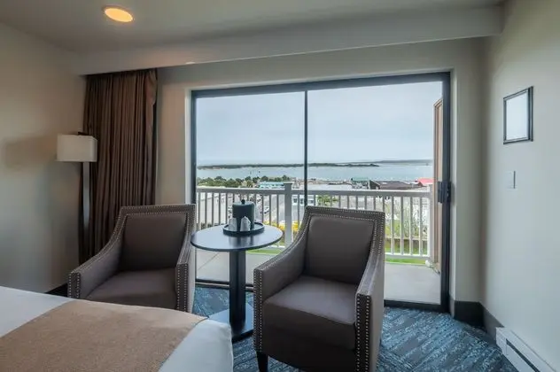 Standard Oda, 2 Büyük (Queen) Boy Yatak (East Two Queen - Non-Pet)