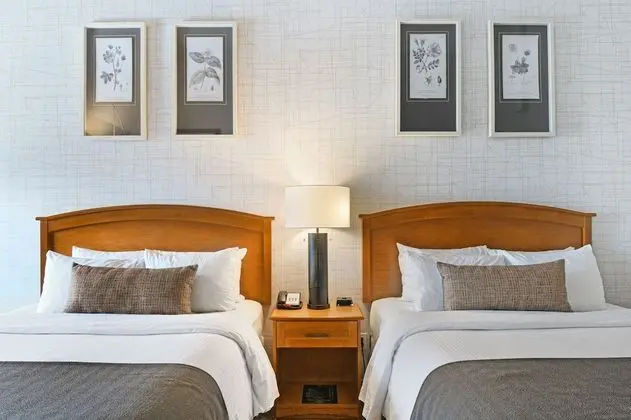 Premium Oda, 2 Büyük (Queen) Boy Yatak