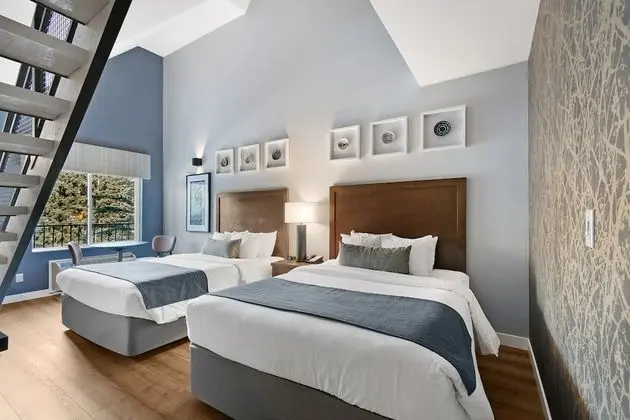 Süit (Loft)