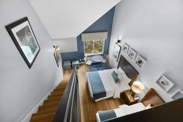 Süit (Loft)
