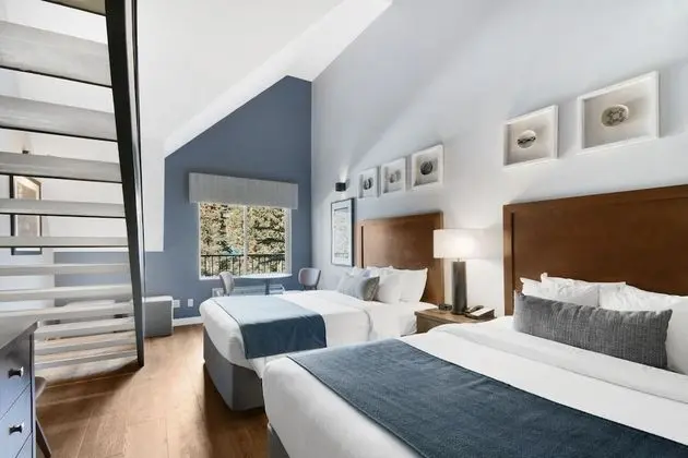 Süit (Loft)