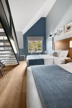 Süit (Loft)