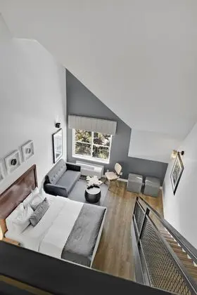 Süit (Loft)