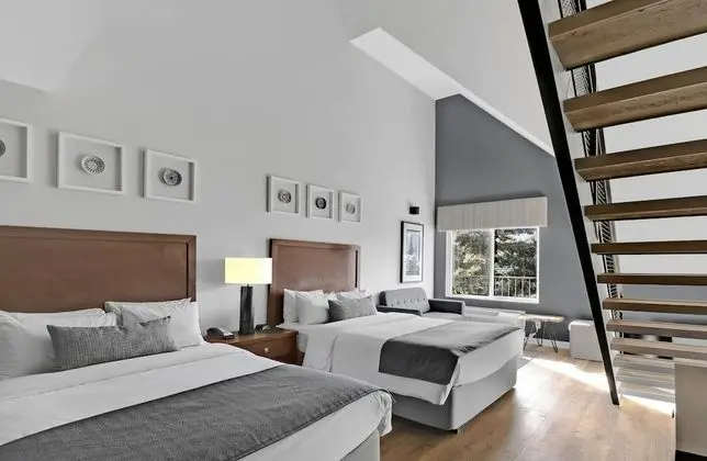 Süit (Loft)