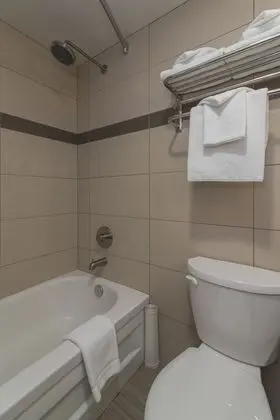 Süit (Loft)