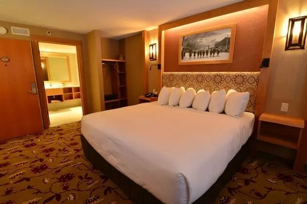 Standard Room 1 King