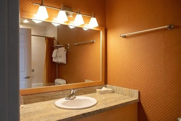 Çatı Katı (Loft) (Suite)
