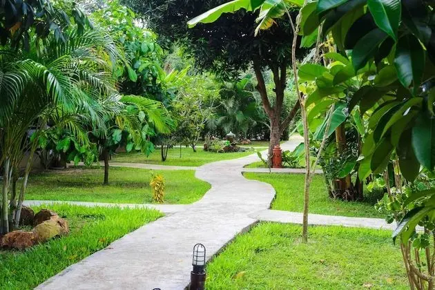 Double Room with Garden View