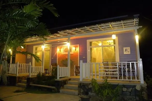 Vanda Suite