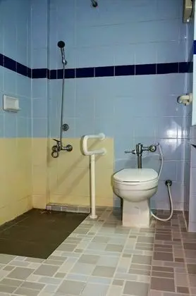 Standard Tek Büyük Yataklı Oda, 1 Çift Kişilik Yatak, Engellilere Uygun, Banyolu/Duşlu