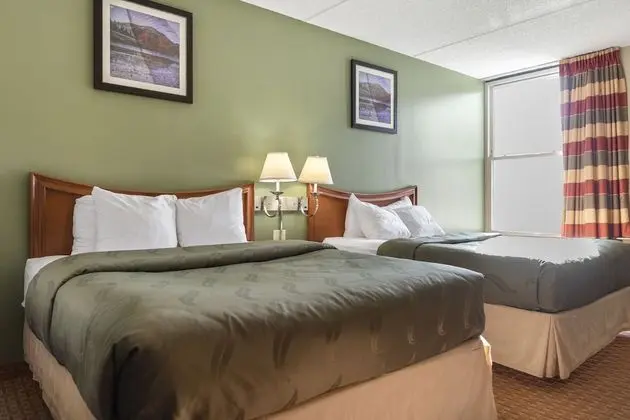 Standard 2 Queens Room