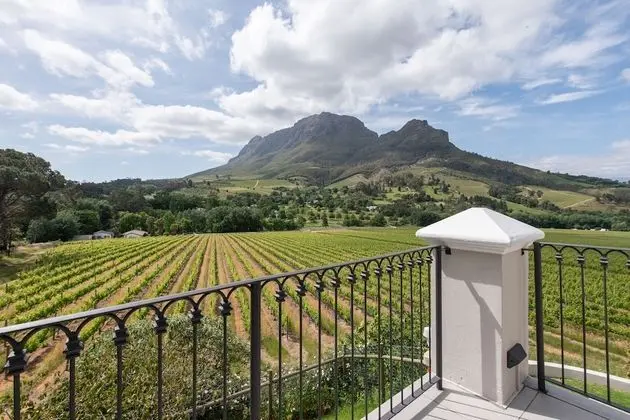 Junior Süit, 1 En Büyük (King) Boy Yatak