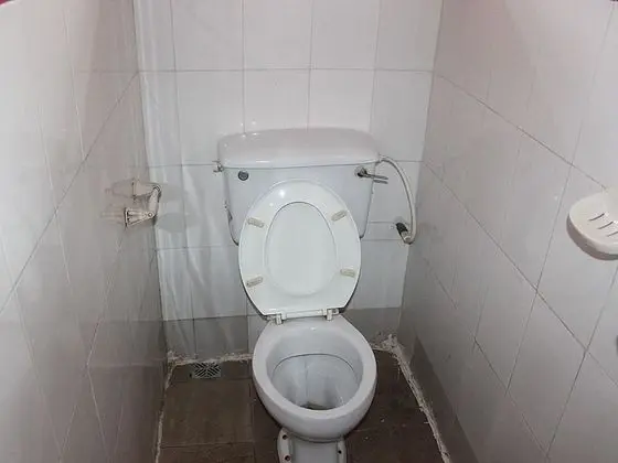 Standard Oda
