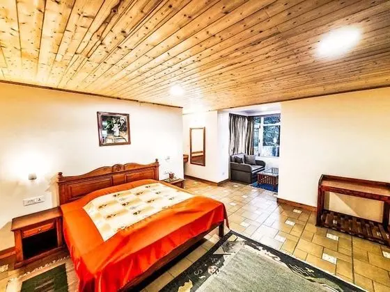 Comfort Tek Büyük Yataklı Oda, Dağ Manzaralı