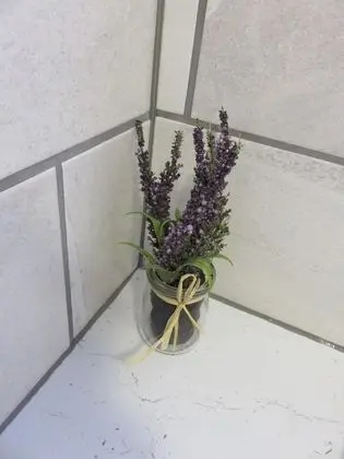 Classic Tek Büyük Yataklı Oda, Banyolu/Duşlu, Avlu Manzaralı