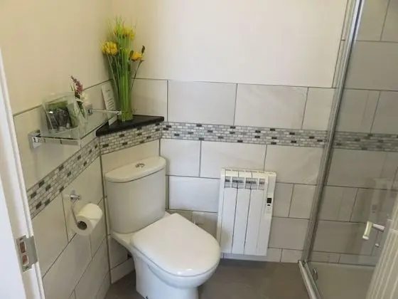 Tek Büyük Yataklı Oda, Banyolu/Duşlu, Park Manzaralı