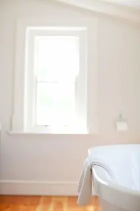 Süit