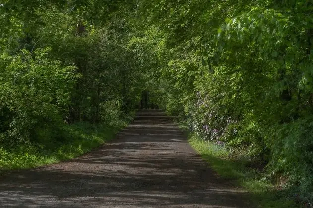 Family Oda, Banyolu/Duşlu