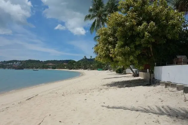 Seaview Apartment