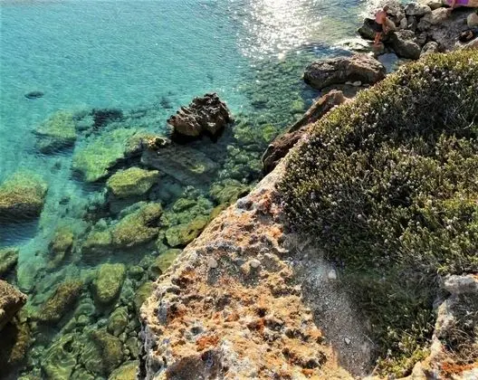 Villa, 2 Yatak Odası, Sigara İçilebilir, Veranda