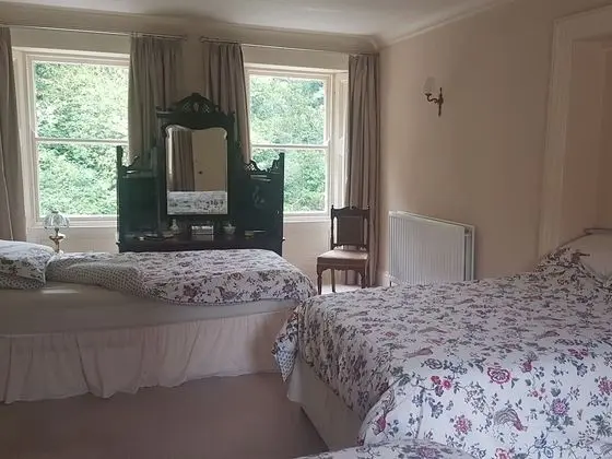 Tek Büyük Yataklı Oda, Banyolu/Duşlu (with Shower)